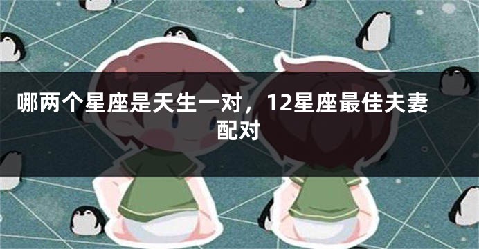 哪两个星座是天生一对，12星座最佳夫妻配对