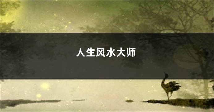 人生风水大师