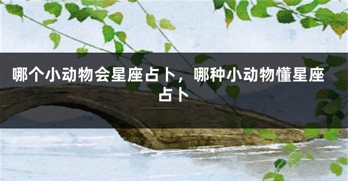 哪个小动物会星座占卜，哪种小动物懂星座占卜