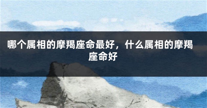 哪个属相的摩羯座命最好，什么属相的摩羯座命好