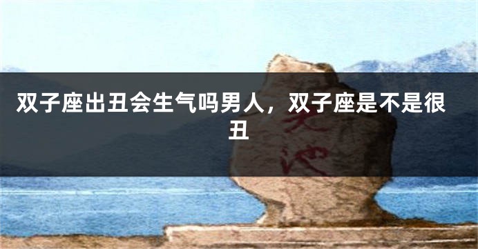 双子座出丑会生气吗男人，双子座是不是很丑