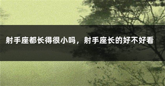 射手座都长得很小吗，射手座长的好不好看