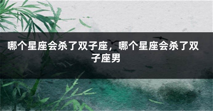 哪个星座会杀了双子座，哪个星座会杀了双子座男