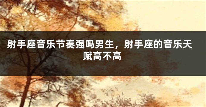 射手座音乐节奏强吗男生，射手座的音乐天赋高不高