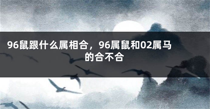 96鼠跟什么属相合，96属鼠和02属马的合不合