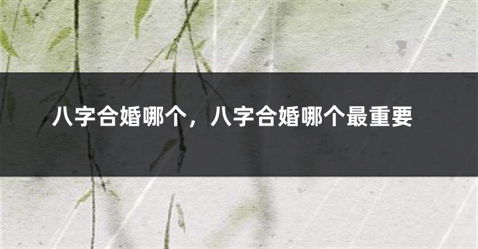八字合婚哪个，八字合婚哪个最重要