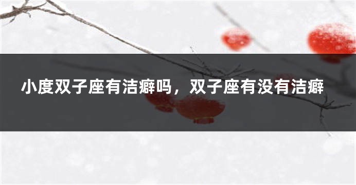 小度双子座有洁癖吗，双子座有没有洁癖