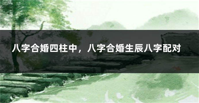 八字合婚四柱中，八字合婚生辰八字配对