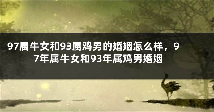 97属牛女和93属鸡男的婚姻怎么样，97年属牛女和93年属鸡男婚姻