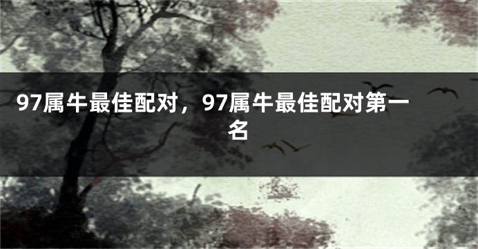 97属牛最佳配对，97属牛最佳配对第一名