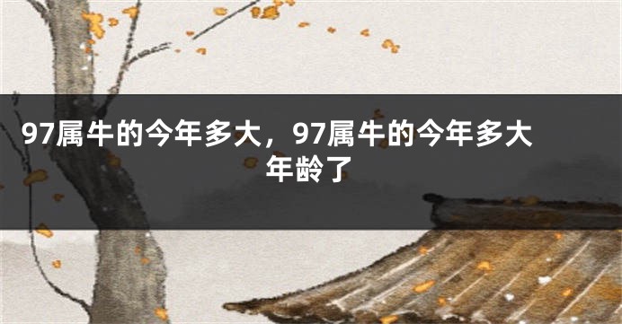 97属牛的今年多大，97属牛的今年多大年龄了