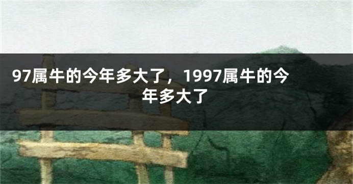 97属牛的今年多大了，1997属牛的今年多大了