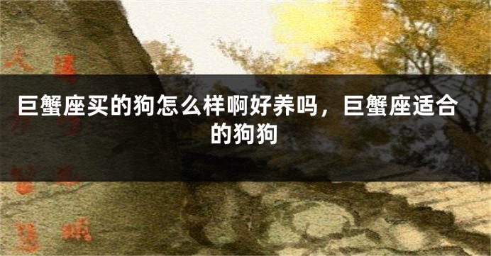 巨蟹座买的狗怎么样啊好养吗，巨蟹座适合的狗狗