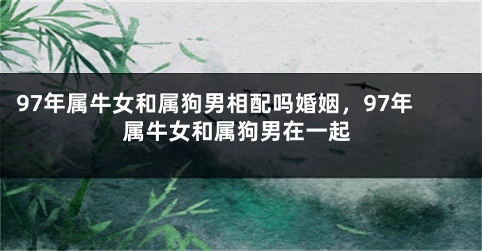 97年属牛女和属狗男相配吗婚姻，97年属牛女和属狗男在一起
