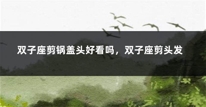 双子座剪锅盖头好看吗，双子座剪头发