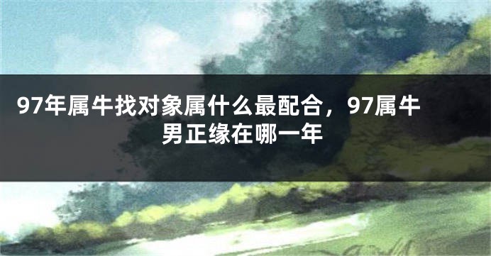 97年属牛找对象属什么最配合，97属牛男正缘在哪一年