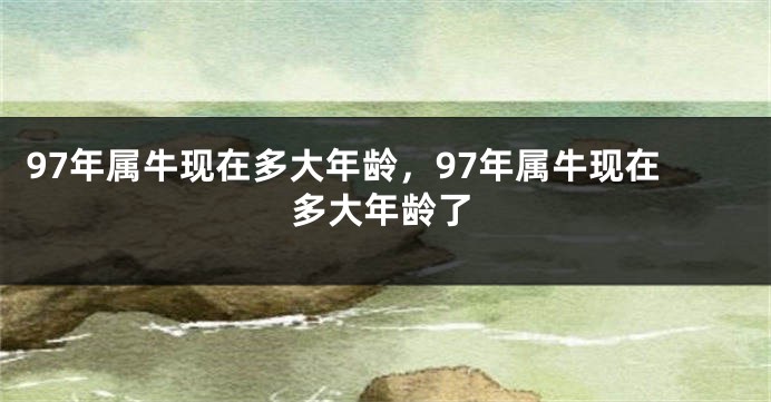 97年属牛现在多大年龄，97年属牛现在多大年龄了