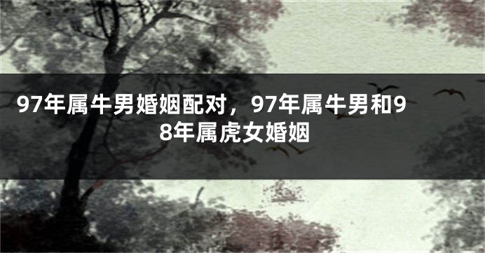 97年属牛男婚姻配对，97年属牛男和98年属虎女婚姻