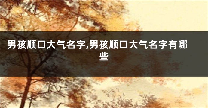 男孩顺口大气名字,男孩顺口大气名字有哪些