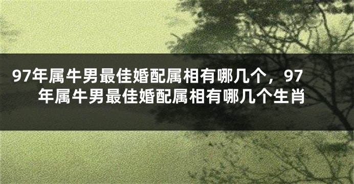 97年属牛男最佳婚配属相有哪几个，97年属牛男最佳婚配属相有哪几个生肖
