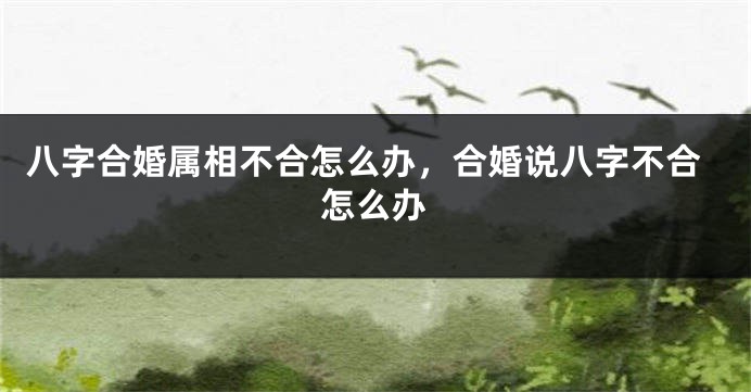 八字合婚属相不合怎么办，合婚说八字不合怎么办
