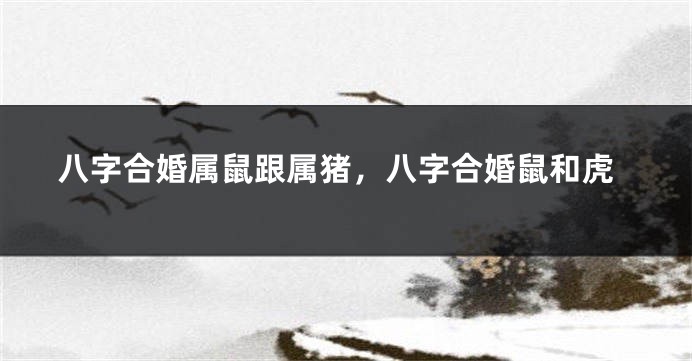 八字合婚属鼠跟属猪，八字合婚鼠和虎