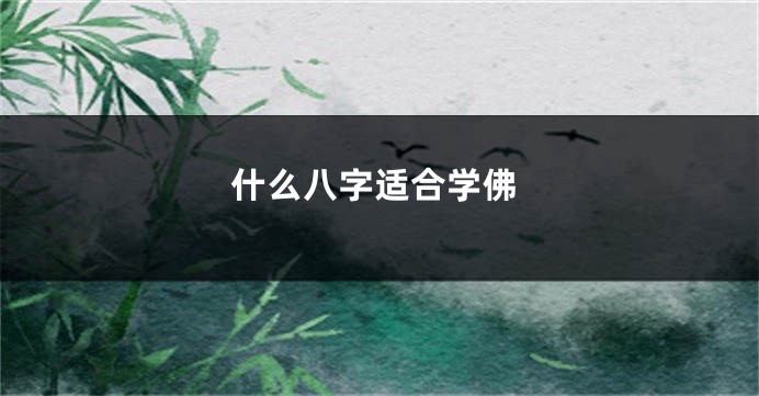 什么八字适合学佛