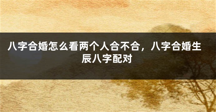 八字合婚怎么看两个人合不合，八字合婚生辰八字配对
