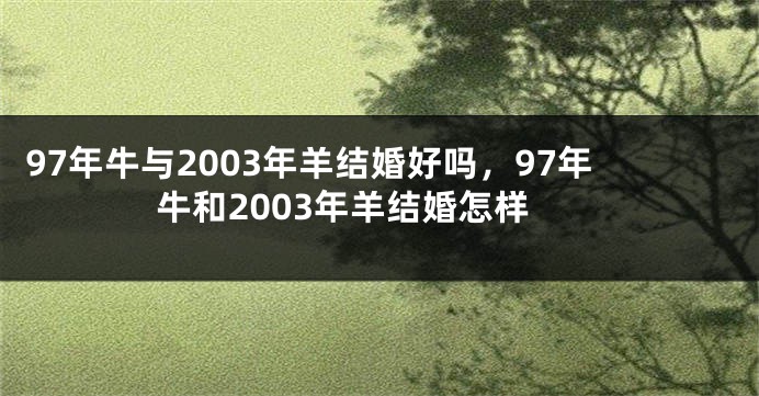 97年牛与2003年羊结婚好吗，97年牛和2003年羊结婚怎样