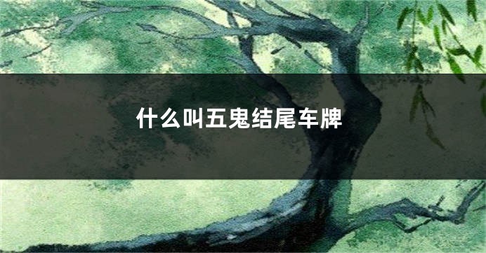 什么叫五鬼结尾车牌