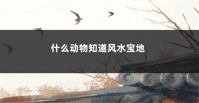 什么动物知道风水宝地
