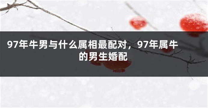 97年牛男与什么属相最配对，97年属牛的男生婚配