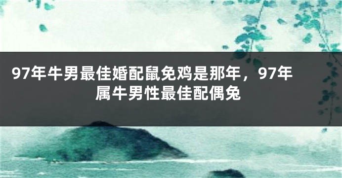 97年牛男最佳婚配鼠免鸡是那年，97年属牛男性最佳配偶兔