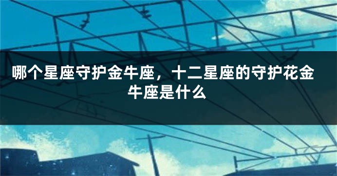 哪个星座守护金牛座，十二星座的守护花金牛座是什么
