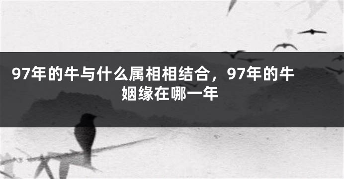 97年的牛与什么属相相结合，97年的牛姻缘在哪一年