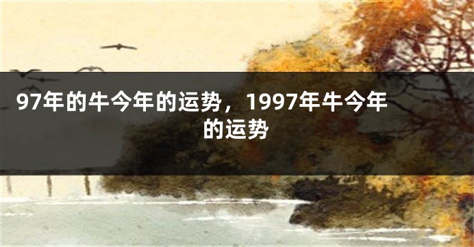 97年的牛今年的运势，1997年牛今年的运势