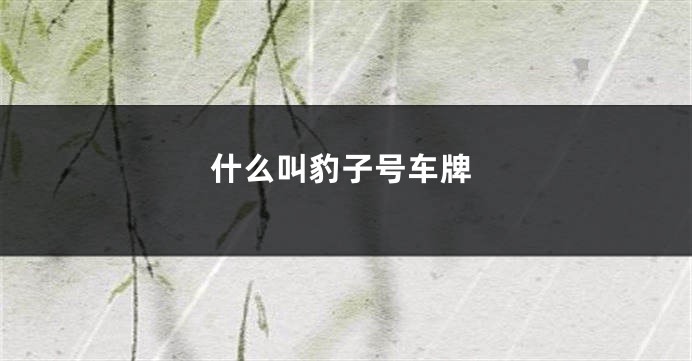 什么叫豹子号车牌