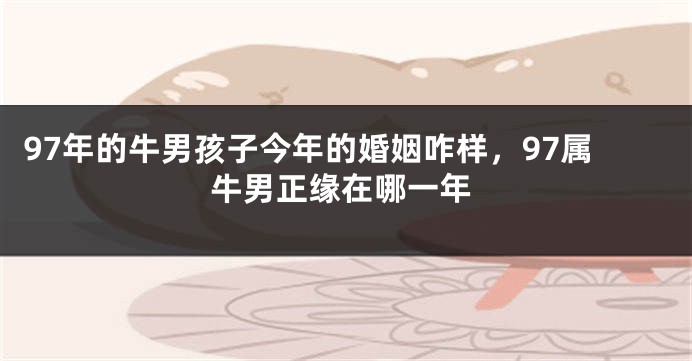 97年的牛男孩子今年的婚姻咋样，97属牛男正缘在哪一年