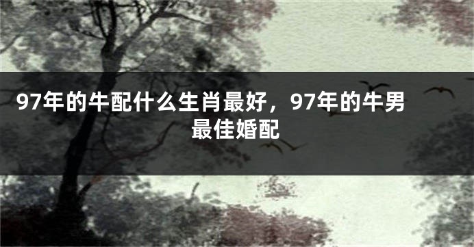 97年的牛配什么生肖最好，97年的牛男最佳婚配