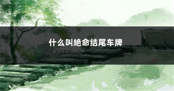 什么叫絶命结尾车牌
