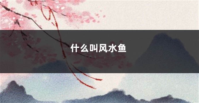什么叫风水鱼