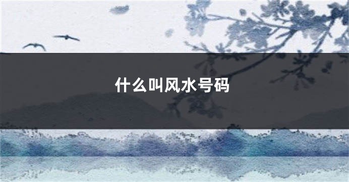 什么叫风水号码
