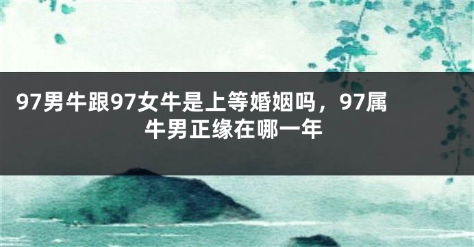 97男牛跟97女牛是上等婚姻吗，97属牛男正缘在哪一年
