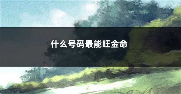 什么号码最能旺金命