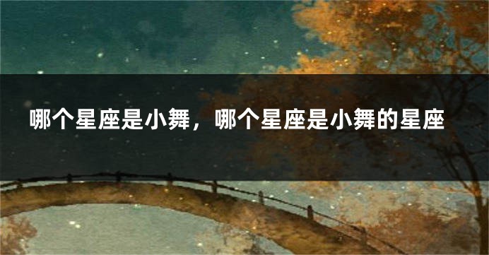 哪个星座是小舞，哪个星座是小舞的星座