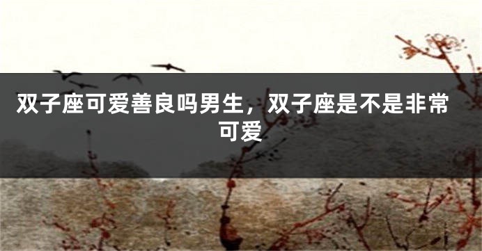 双子座可爱善良吗男生，双子座是不是非常可爱