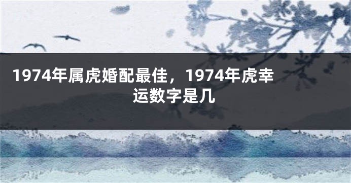 1974年属虎婚配最佳，1974年虎幸运数字是几