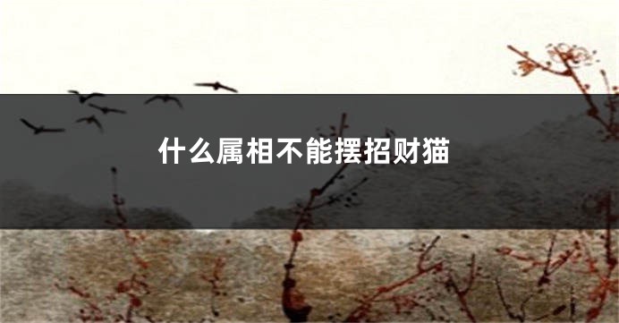 什么属相不能摆招财猫