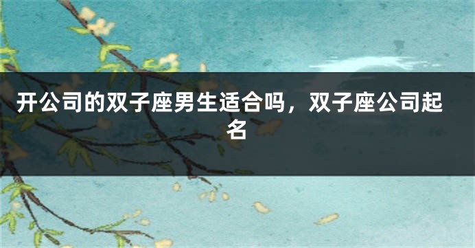 开公司的双子座男生适合吗，双子座公司起名