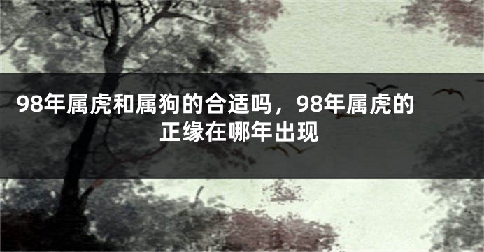 98年属虎和属狗的合适吗，98年属虎的正缘在哪年出现